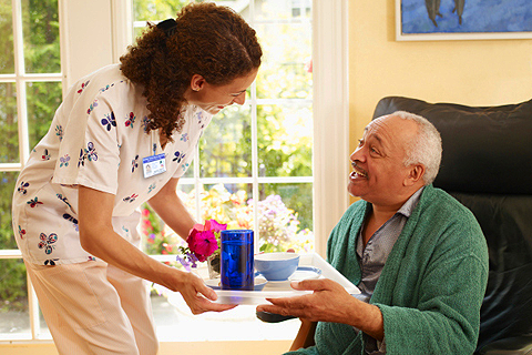 HOME HEALTHCARE AIDES /WILLIAMSVILLE, NEW YORK USA